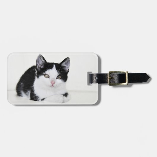 Zwart Witte Nadenkende Kitten Bagage Labels (Voorkant horizontaal)