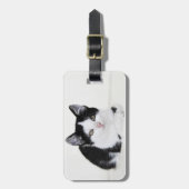 Zwart Witte Nadenkende Kitten Bagage Labels (Voorkant verticaal)
