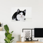 Zwart Witte Nadenkende Kitten Poster (Thuiskantoor)