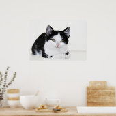 Zwart Witte Nadenkende Kitten Poster (Keuken)