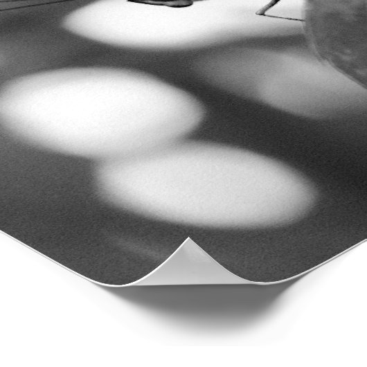 Zwart-witte Natuur met botervlieg afdrukken Poster (Hoek)