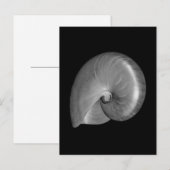 Zwart-witte Nautilus Schelp Briefkaart (Voorkant / Achterkant)