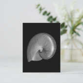 Zwart-witte Nautilus Schelp Briefkaart (Staand voorkant)