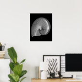 Zwart-witte Nautilus Schelp Poster (Thuiskantoor)