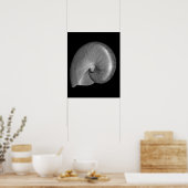 Zwart-witte Nautilus Schelp Poster (Keuken)