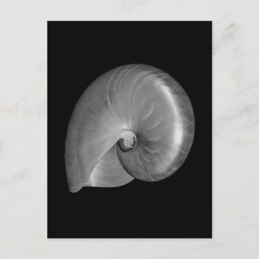 Zwart-witte Nautilus Shell Briefkaart (Voorkant)