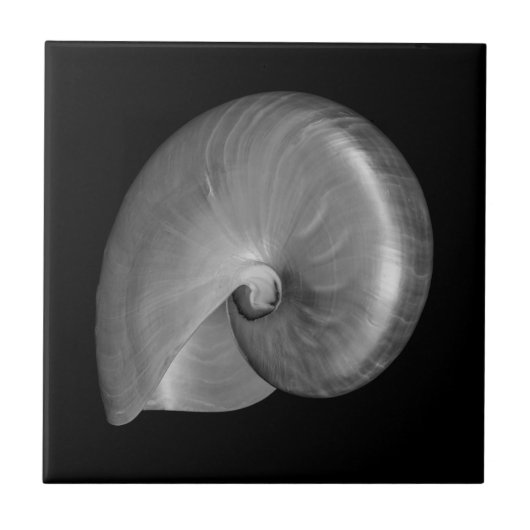 Zwart-witte Nautilus Shell Tegeltje (Voorkant)