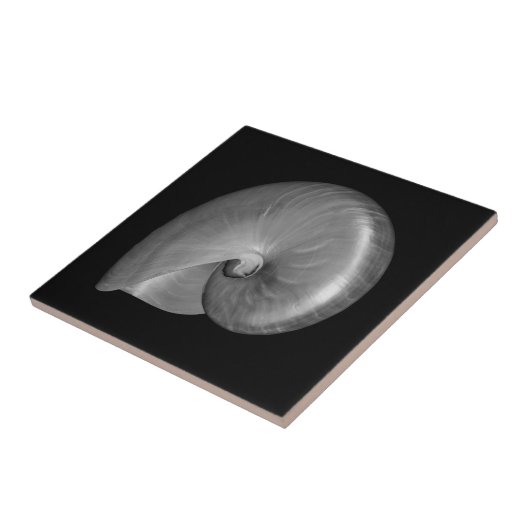 Zwart-witte Nautilus Shell Tegeltje (Zijkant)