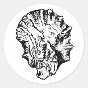 Zwart-witte Oester Shell Ronde Sticker