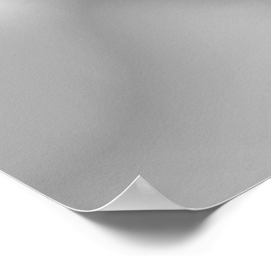 Zwart-witte opfokpaarden Vrijheid Poster (Hoek)