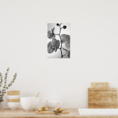 Zwart-witte orchideeën aan de stengel poster (Keuken)