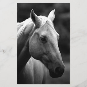 Zwart Witte Paard Briefpapier