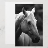 Zwart Witte Paard Briefpapier (Voorkant / Achterkant)