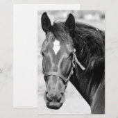 Zwart Witte Paard Briefpapier (Voorkant / Achterkant)