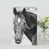 Zwart Witte Paard Briefpapier (Staand voorkant)