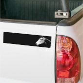 Zwart & Witte Paard Bumpersticker (Op Truck)