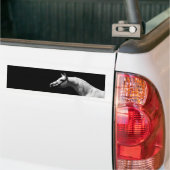 Zwart & Witte Paard Kunst Bumpersticker (Op Truck)