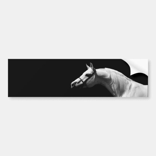 Zwart & Witte Paard Kunst Bumpersticker (Voorkant)