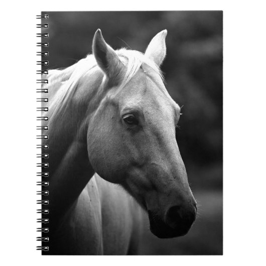 Zwart Witte Paard Notitieboek (Voorkant)