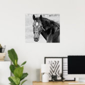 Zwart Witte Paard Poster (Thuiskantoor)