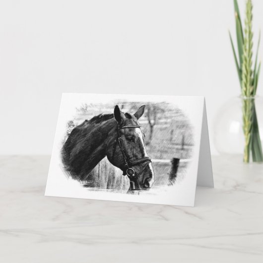 Zwart Witte Paard Schets Kaart (Voorkant)