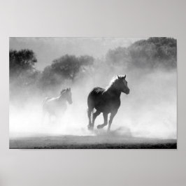 Zwart-witte paarden poster