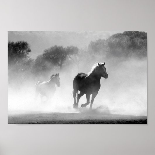 Zwart-witte paarden poster (Voorkant)