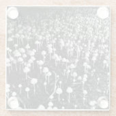 Zwart-witte paddenstoel Colony Foto Glazen Onderzetter (Achterkant)