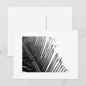 Zwart-witte palm, briefkaart (Voorkant / Achterkant)
