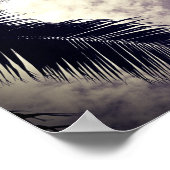 Zwart-witte palmboom Beach Decor Foto Poster (Hoek)