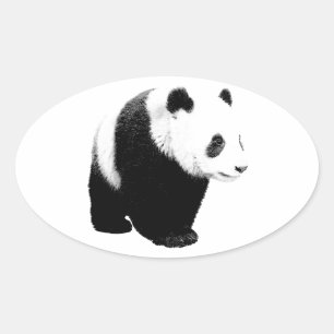 Zwart-witte Panda Ovale Sticker