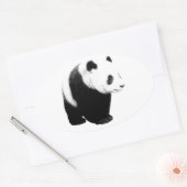 Zwart-witte Panda Ovale Sticker (Envelop)
