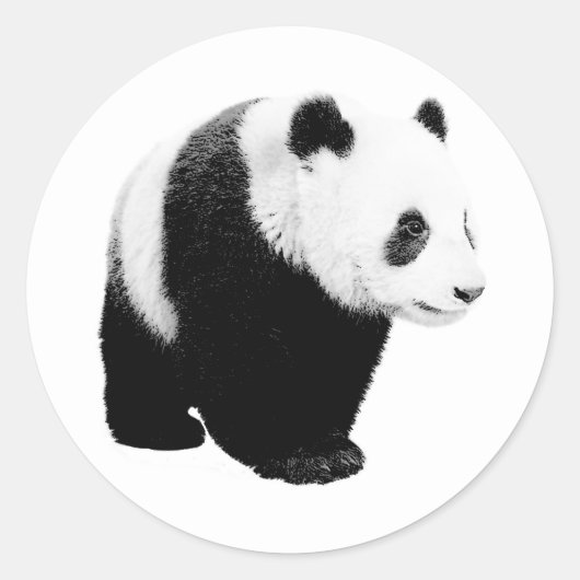 Zwart-witte Panda Ronde Sticker (Voorkant)