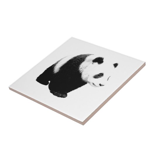 Zwart-witte Panda Tegeltje (Zijkant)