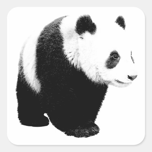 Zwart-witte Panda Vierkante Sticker (Voorkant)