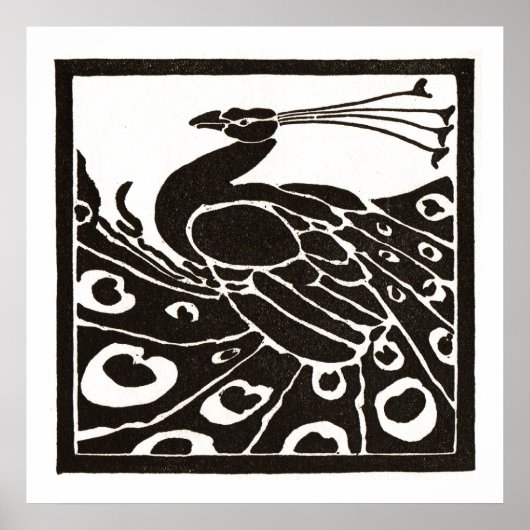 ZWART-WITTE PAUW POSTER (Voorkant)