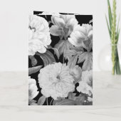 Zwart & Witte Pioenrozen Bruiloft Orde van Service Programma (Achterkant)
