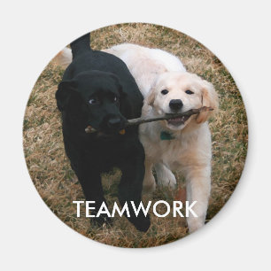 Zwart-witte puppies magneet
