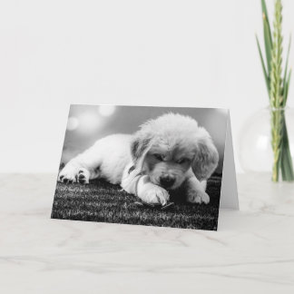 Zwart & Witte Puppy Blanke Kaart