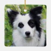 Zwart-witte rand collie keramisch ornament (Achterkant)