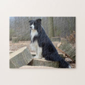 Zwart-witte rand collie legpuzzel (Horizontaal)