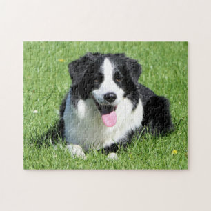 Zwart-witte rand collie legpuzzel