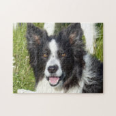 Zwart-witte rand collie legpuzzel (Horizontaal)