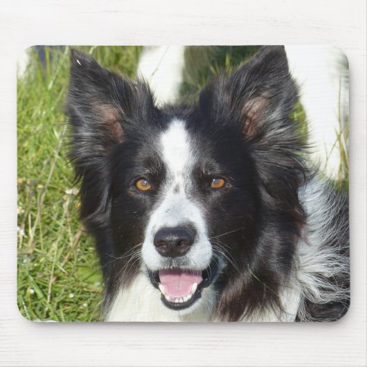 Zwart-witte rand collie muismat (Voorkant)