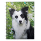 Zwart-witte rand collie notitieboek (Voorkant)