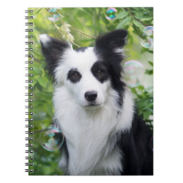 Zwart-witte rand collie notitieboek