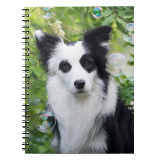 Zwart-witte rand collie notitieboek (Voorkant)