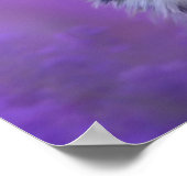 Zwart-witte rand collie poster (Hoek)