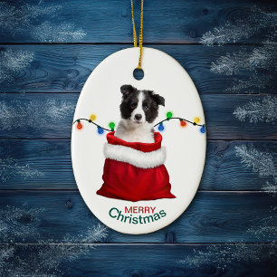 Zwart-witte rand Collie Pup in feestdag Gift Bag Keramisch Ornament