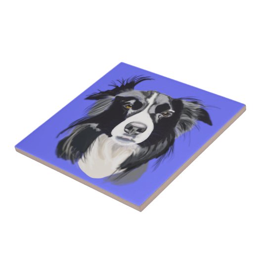 Zwart-witte rand collie tegeltje (Zijkant)